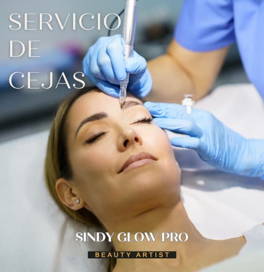 Servicios de Cejas en Houston. Tratamientos profesionales de cejas en Houston por Sindy Glow Pro, incluyendo diseño, laminado, henna y micropigmentación